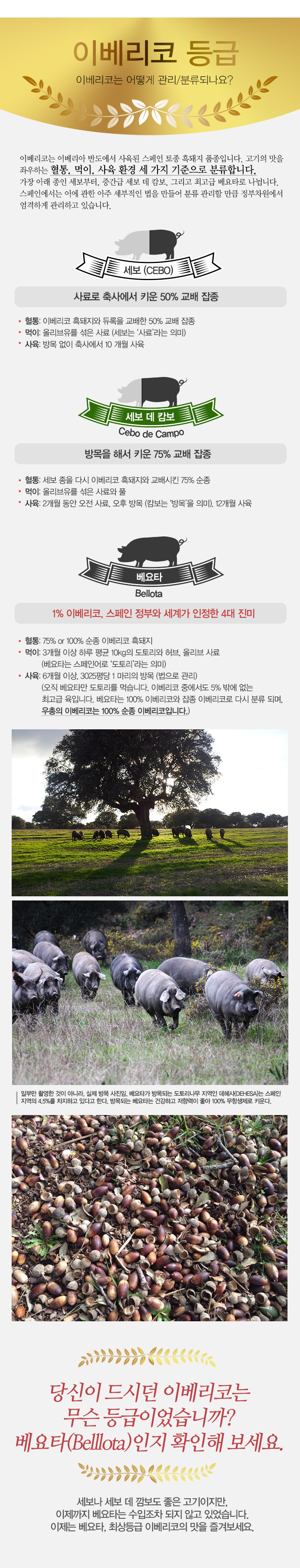 이베리코오프닝_170612_03.jpg