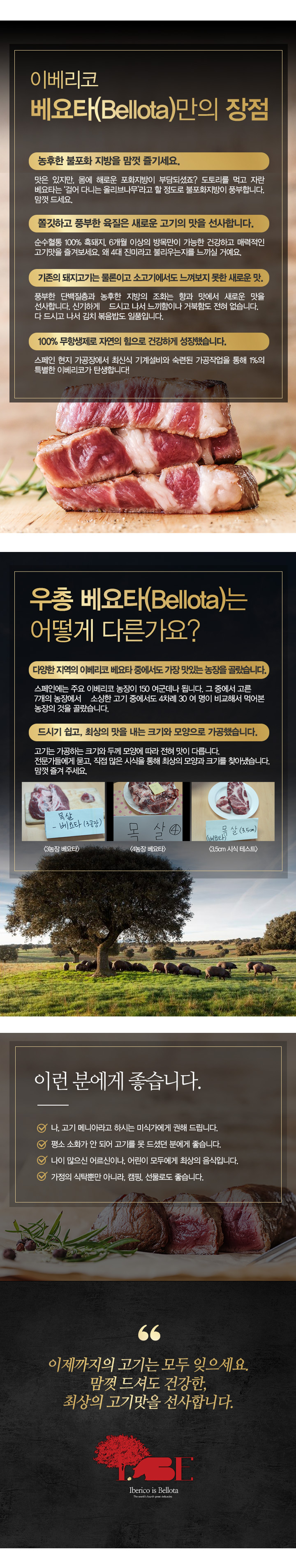 이베리코오프닝_170612_04.jpg