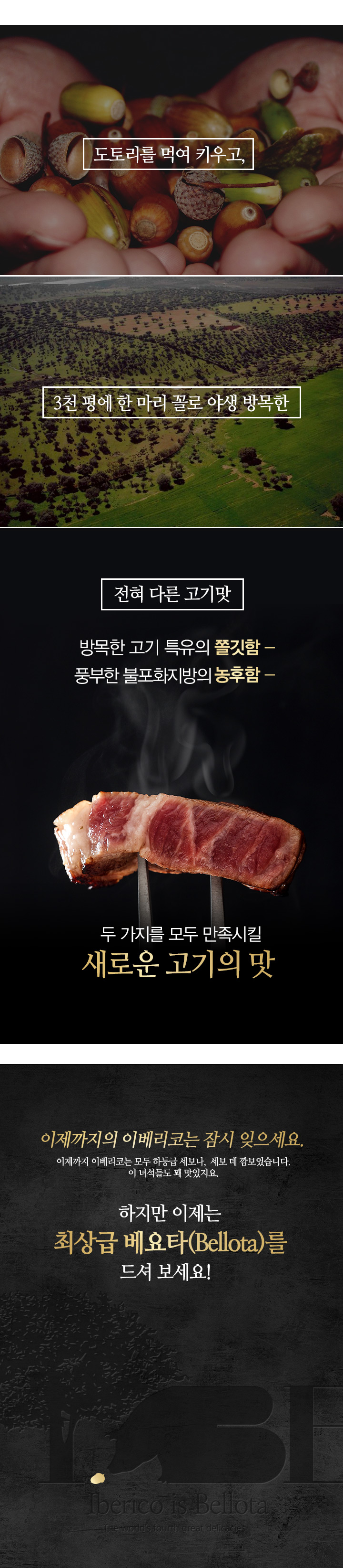 이베리코오프닝_170612_02.jpg